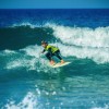 Surfing Cap Ferret !