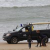 LifeGuards version Médoc !